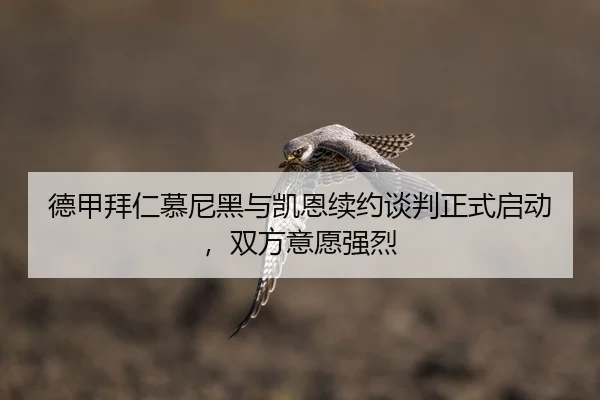 de-jia-bai-ren-mu-ni-hei-yu-kai-en-xu-yue-tan-pan-zheng-shi-qi-dong-shuang-fang-yi-yuan-qiang-lie-2-880.jpg