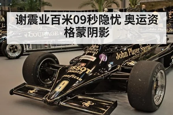 谢震业百米09秒隐忧 奥运资格蒙阴影